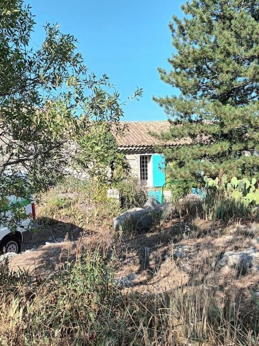 La Maison Bleue Montfort  Εξωτερικό φωτογραφία